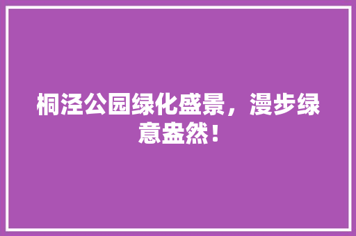 桐泾公园绿化盛景，漫步绿意盎然！