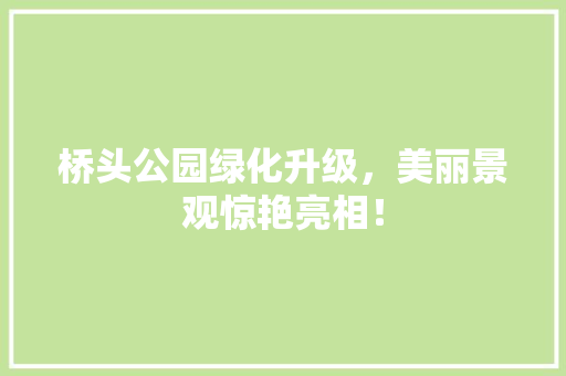 桥头公园绿化升级，美丽景观惊艳亮相！