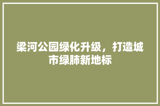 梁河公园绿化升级，打造城市绿肺新地标 蔬菜育苗