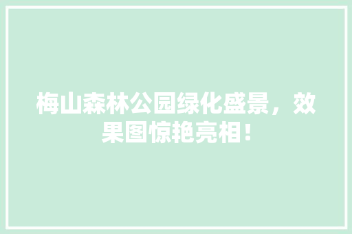 梅山森林公园绿化盛景，效果图惊艳亮相！