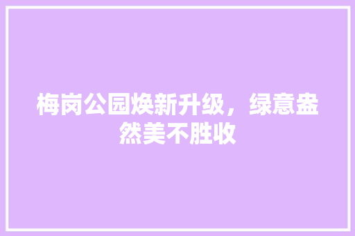 梅岗公园焕新升级，绿意盎然美不胜收