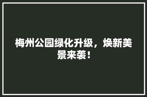 梅州公园绿化升级，焕新美景来袭！