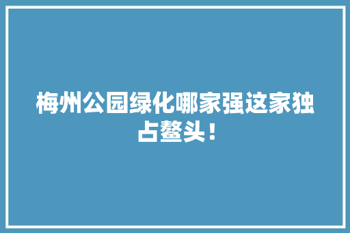 梅州公园绿化哪家强这家独占鳌头！