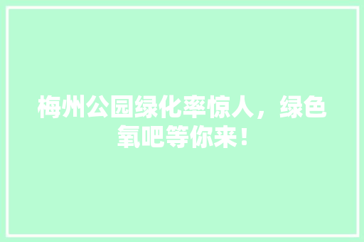 梅州公园绿化率惊人，绿色氧吧等你来！