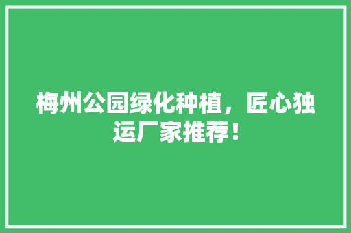 梅州公园绿化种植，匠心独运厂家推荐！