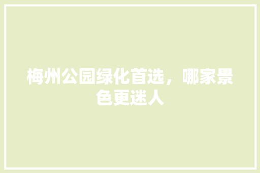 梅州公园绿化首选，哪家景色更迷人