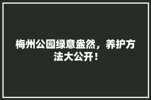 梅州公园绿意盎然，养护方法大公开！