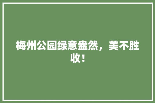 梅州公园绿意盎然，美不胜收！