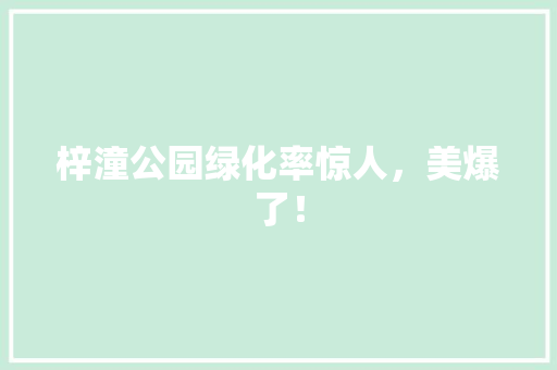 梓潼公园绿化率惊人，美爆了！