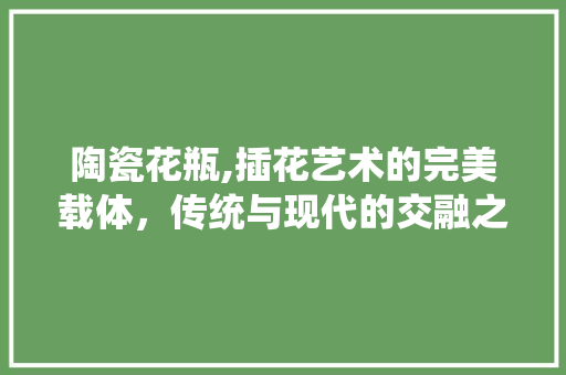 陶瓷花瓶,插花艺术的完美载体，传统与现代的交融之美