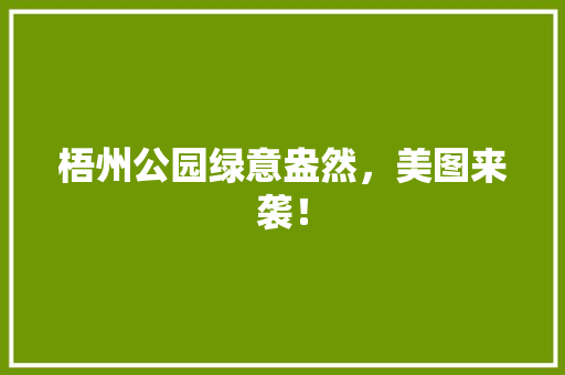 梧州公园绿意盎然，美图来袭！