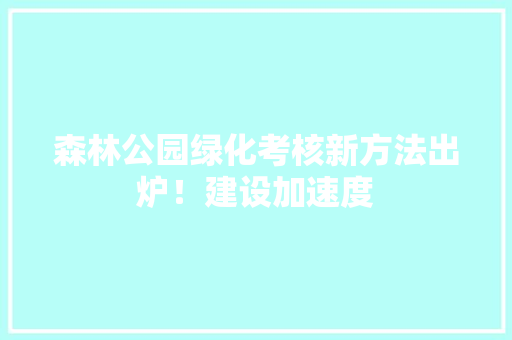 森林公园绿化考核新方法出炉！建设加速度