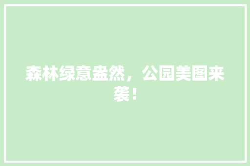 森林绿意盎然，公园美图来袭！ 林木育苗