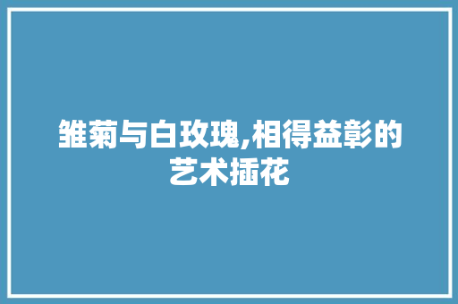雏菊与白玫瑰,相得益彰的艺术插花 温室育苗