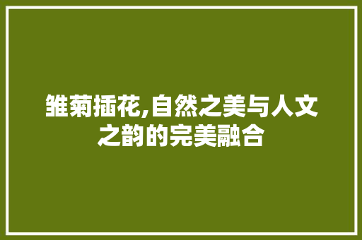 雏菊插花,自然之美与人文之韵的完美融合