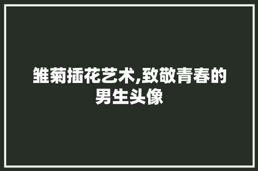 雏菊插花艺术,致敬青春的男生头像