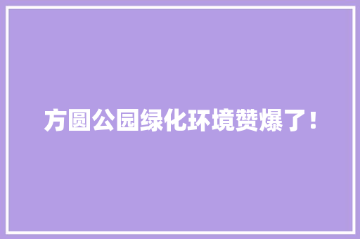 方圆公园绿化环境赞爆了！