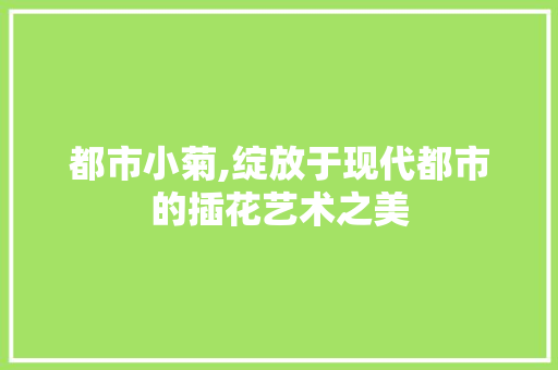 都市小菊,绽放于现代都市的插花艺术之美