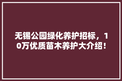 无锡公园绿化养护招标，10万优质苗木养护大介绍！