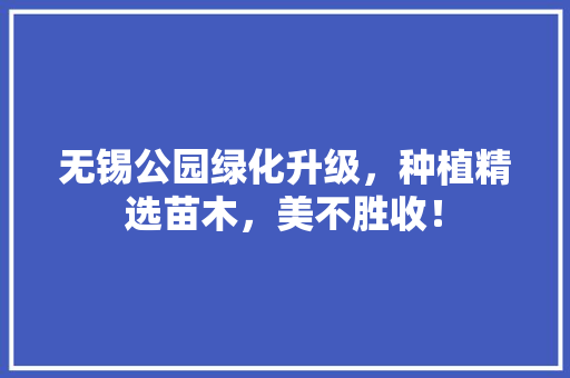 无锡公园绿化升级，种植精选苗木，美不胜收！