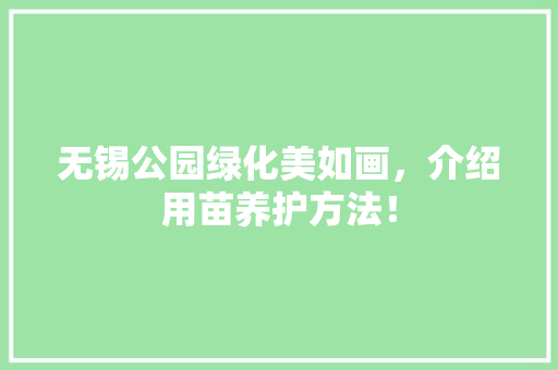 无锡公园绿化美如画，介绍用苗养护方法！