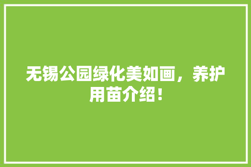 无锡公园绿化美如画，养护用苗介绍！