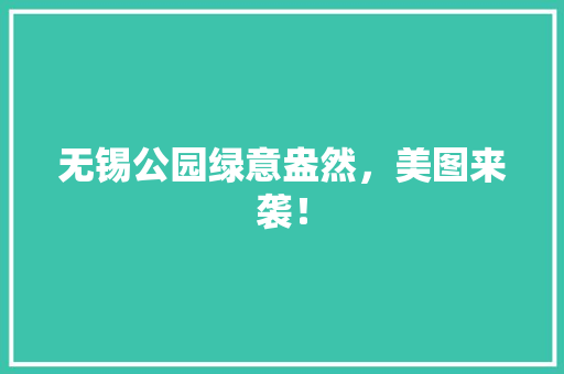 无锡公园绿意盎然，美图来袭！