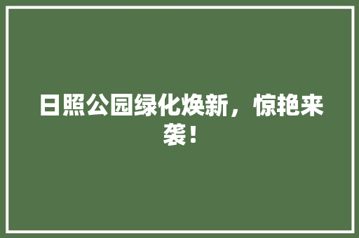 日照公园绿化焕新，惊艳来袭！