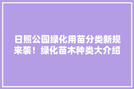 日照公园绿化用苗分类新规来袭！绿化苗木种类大介绍！