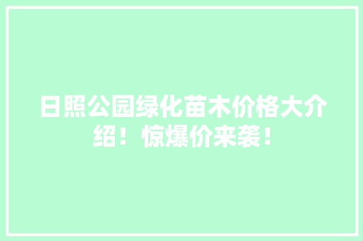 日照公园绿化苗木价格大介绍！惊爆价来袭！