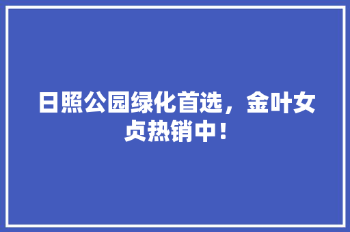 日照公园绿化首选，金叶女贞热销中！