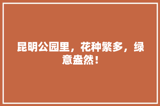 昆明公园里，花种繁多，绿意盎然！