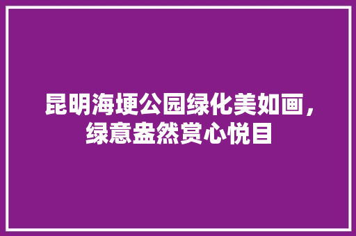 昆明海埂公园绿化美如画，绿意盎然赏心悦目
