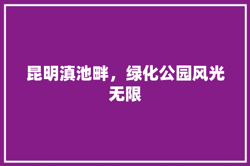 昆明滇池畔，绿化公园风光无限