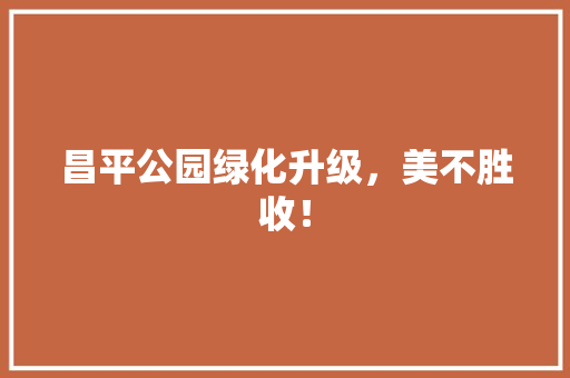 昌平公园绿化升级，美不胜收！