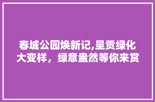 春城公园焕新记,呈贡绿化大变样，绿意盎然等你来赏