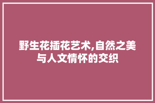 野生花插花艺术,自然之美与人文情怀的交织
