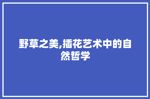 野草之美,插花艺术中的自然哲学