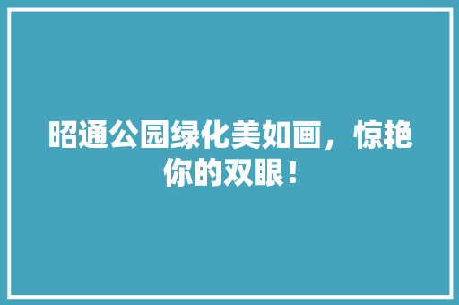 昭通公园绿化美如画，惊艳你的双眼！