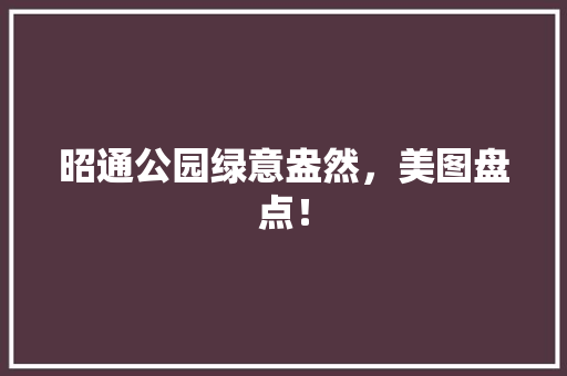 昭通公园绿意盎然，美图盘点！