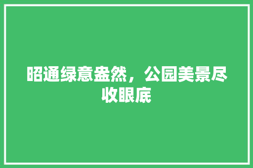 昭通绿意盎然，公园美景尽收眼底