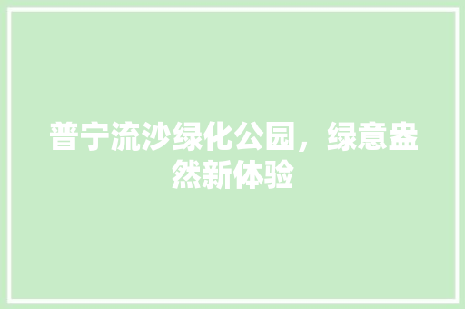 普宁流沙绿化公园，绿意盎然新体验