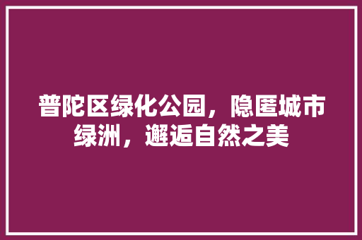 普陀区绿化公园，隐匿城市绿洲，邂逅自然之美