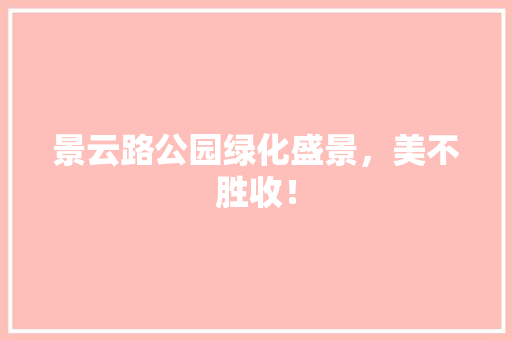 景云路公园绿化盛景，美不胜收！