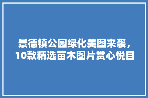 景德镇公园绿化美图来袭，10款精选苗木图片赏心悦目