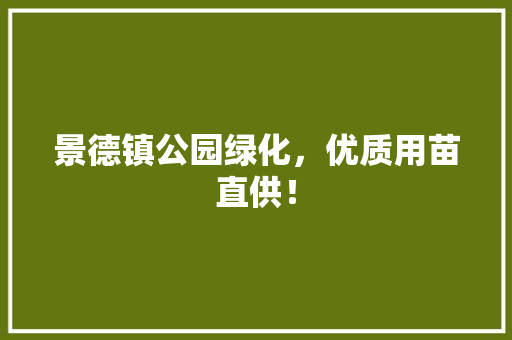 景德镇公园绿化，优质用苗直供！