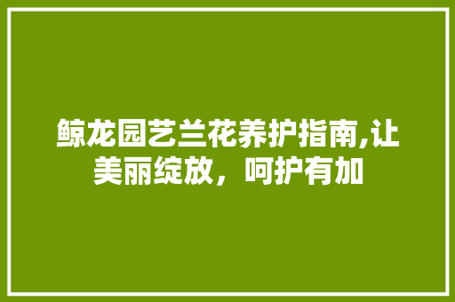 鲸龙园艺兰花养护指南,让美丽绽放，呵护有加
