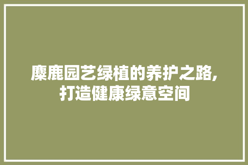 麋鹿园艺绿植的养护之路,打造健康绿意空间