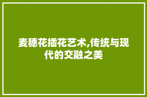 麦穗花插花艺术,传统与现代的交融之美