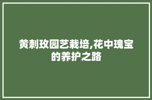 黄刺玫园艺栽培,花中瑰宝的养护之路